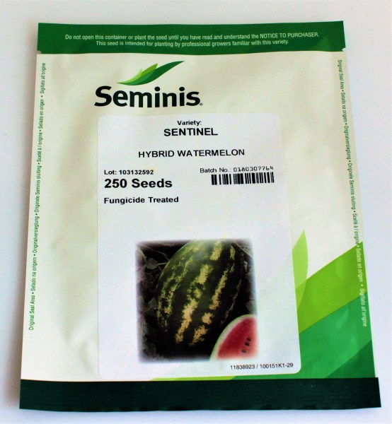 dyna, dyňa, vodný melón, pásikavý melón, červený melón, semená melónu, semená melónov